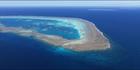 Llewellyn Reef - QLD (PBH4 00 18384)